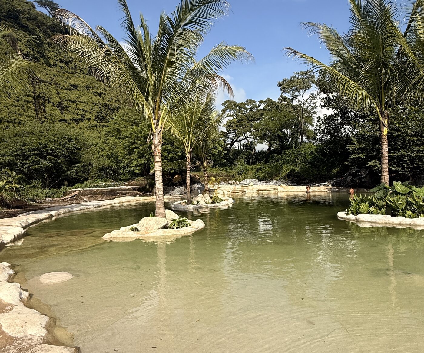 Palmeras y agua clara